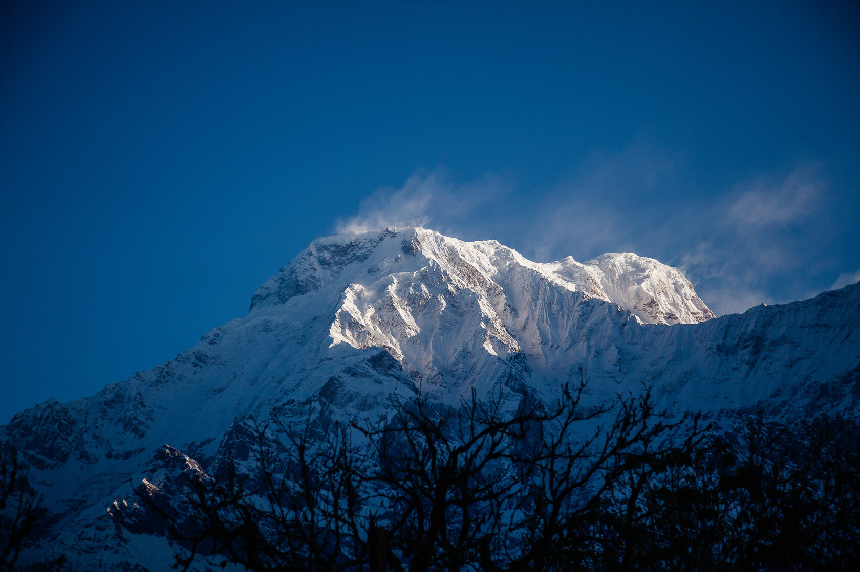 Mountain bot2 1